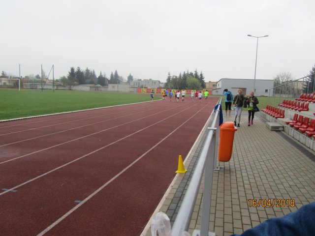 sztaf 53